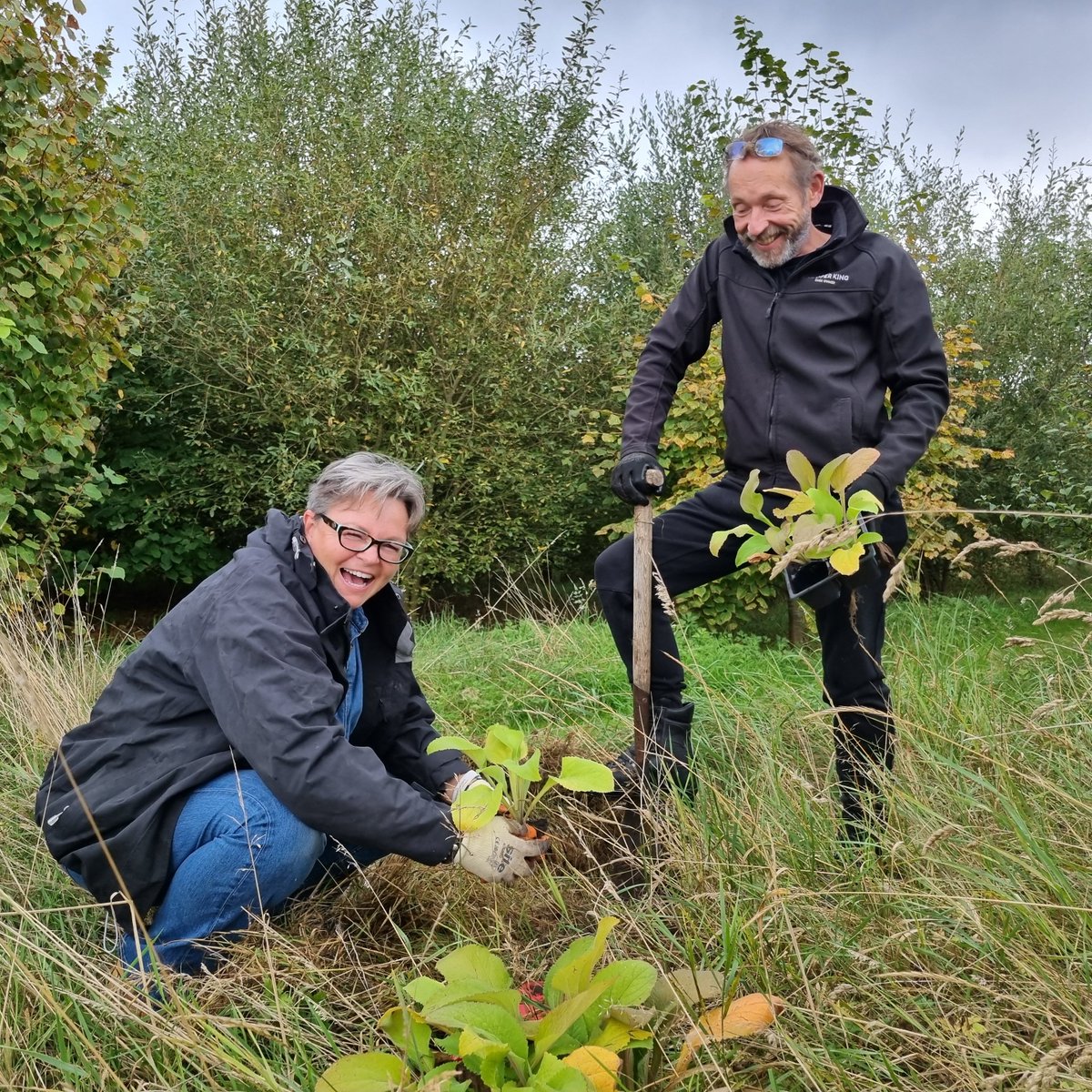 CKdistillery's tweet image. The team recently enjoyed an afternoon out in the woodland at the distillery, planting over 200 foxgloves. These flowers not only look beautiful once in bloom, but are a great source of food for bees and other pollinating insects.

#distillerylife #woodland