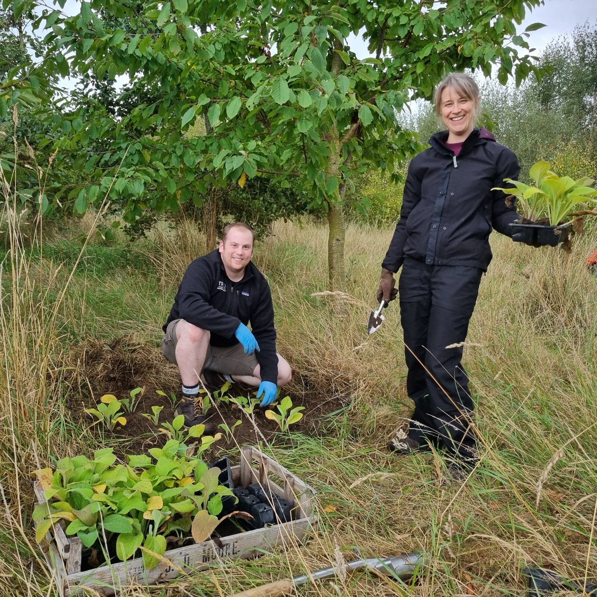 CKdistillery's tweet image. The team recently enjoyed an afternoon out in the woodland at the distillery, planting over 200 foxgloves. These flowers not only look beautiful once in bloom, but are a great source of food for bees and other pollinating insects.

#distillerylife #woodland