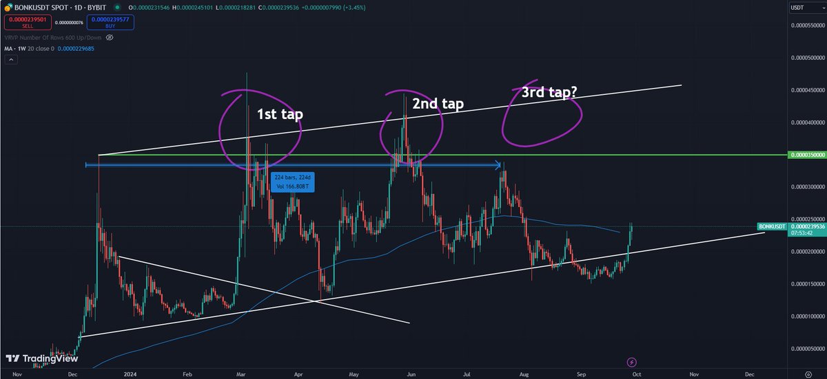 Cheesy Capital tweet media