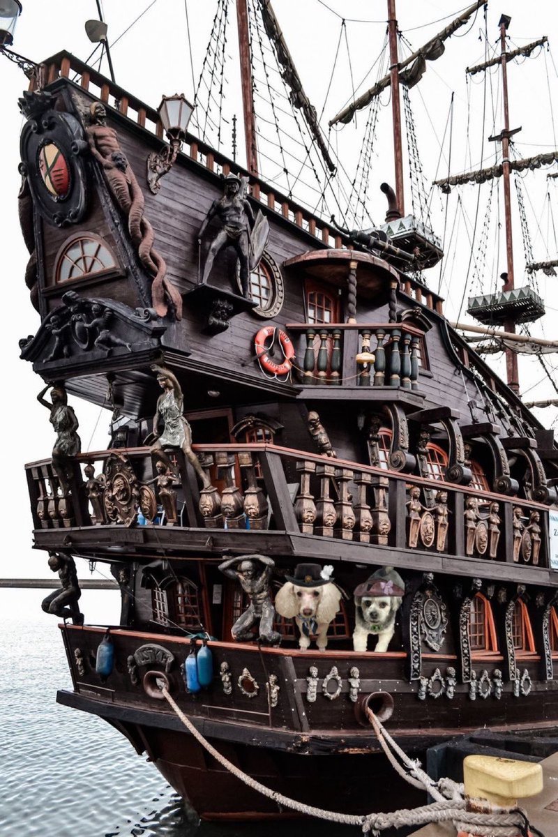 Shiver our timbers! We took a wrong turn and just found our way here! Plenty of room onboard! Come join us. The rum is in the hold, ready for all. Zombs were blown over when we tacked to turn about.    #ZZST