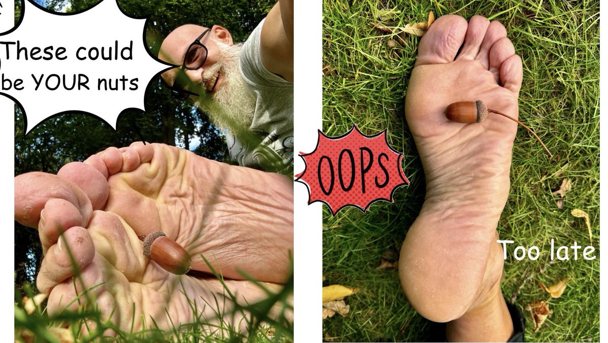 SoleSeductor's tweet photo. These couldβve been your NUTSβ¦ but whoops, too late! π Sometimes nature has its own plansπ #OopsMoment #ComicRelief #NatureVibes #ObeyMe #BarefootAdventures #FeetDomination #BeardedVibes #GroundedInNature #OutdoorPlay #FeelingNutty #ComicStyle #SoleStory #GreenVibes #NuttyFun https://t.co/nnlFtDJK0H