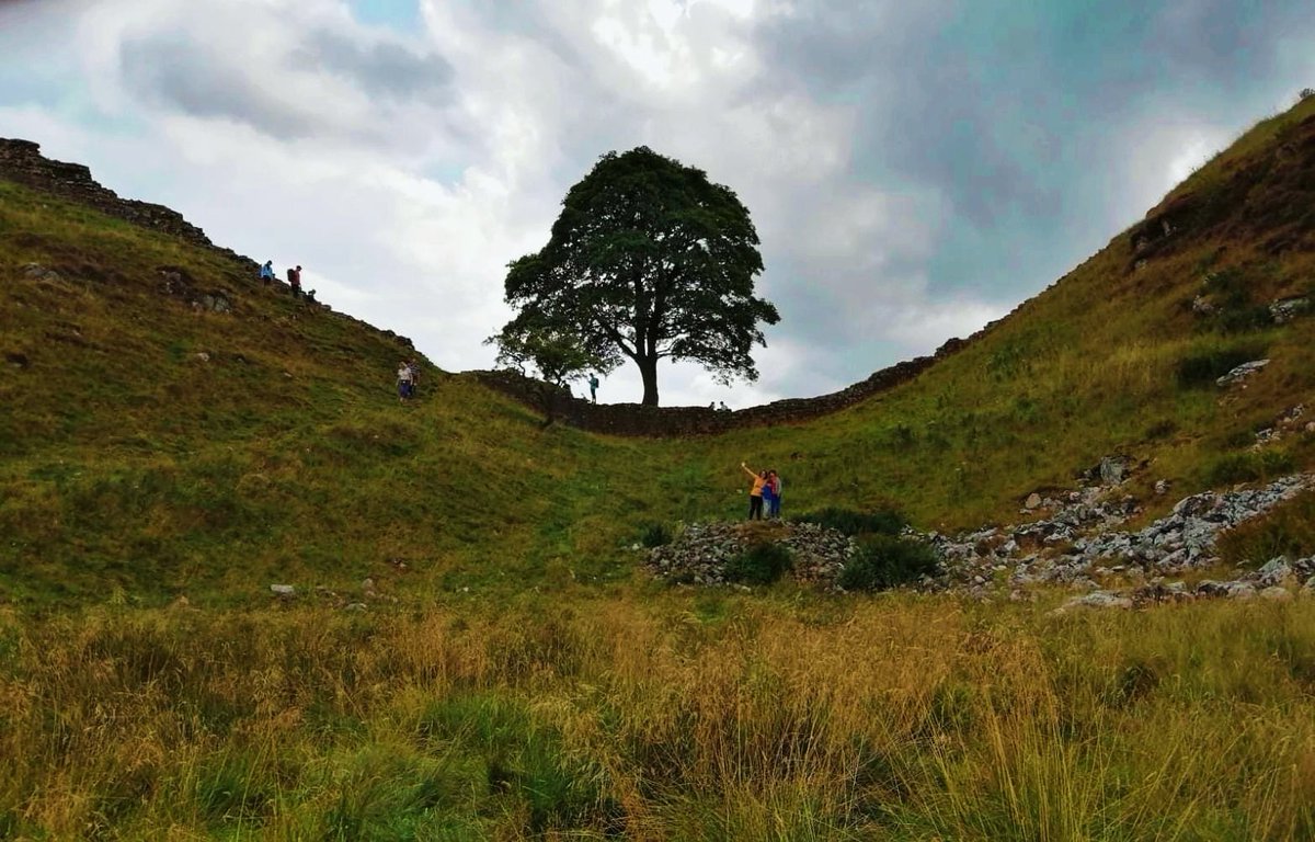 Hoy hace un año que unos energúmenos talaron el #SycamoreGap tree del Muro de Adriano, un arce monumental de más de 150 años e icónica belleza.
Os dejo unas imágenes tomadas un año antes, cuando tuve la ya irrepetible oportunidad de pasear con la familia bajo su sombra.