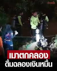 ccoriginal2's tweet photo. @kunnayeun อันนี้ของจริงค่ะ ฉันปลื้มมากกับเงินหมื่น https://t.co/tRq6gkCmBD