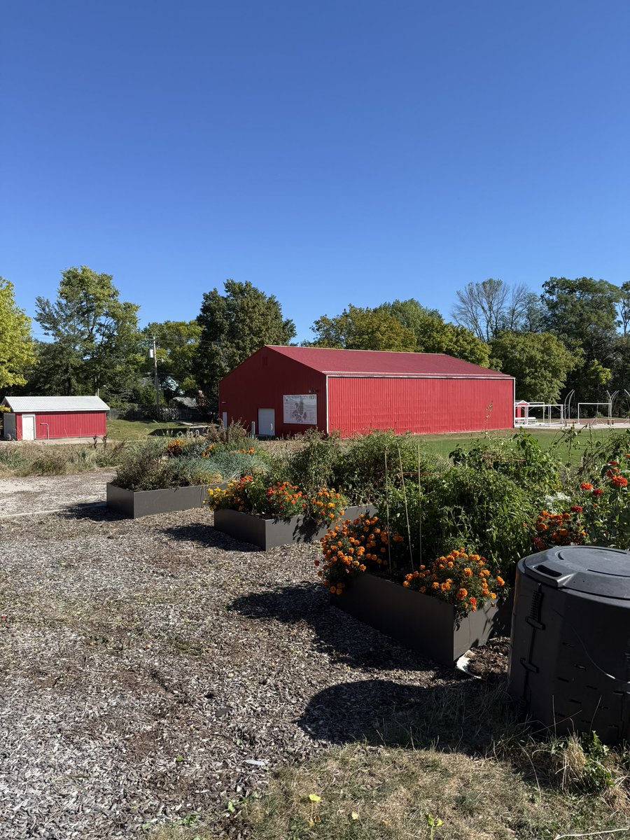 M_Lestina's tweet photo. Work day at the City High Garden! Lots of peppers and tomatillos this year. The ghost peppers and Lilac peppers were a hit this year! @JBacon23 #tstl #iccsd #schoolgardens https://t.co/SlgWMedMho