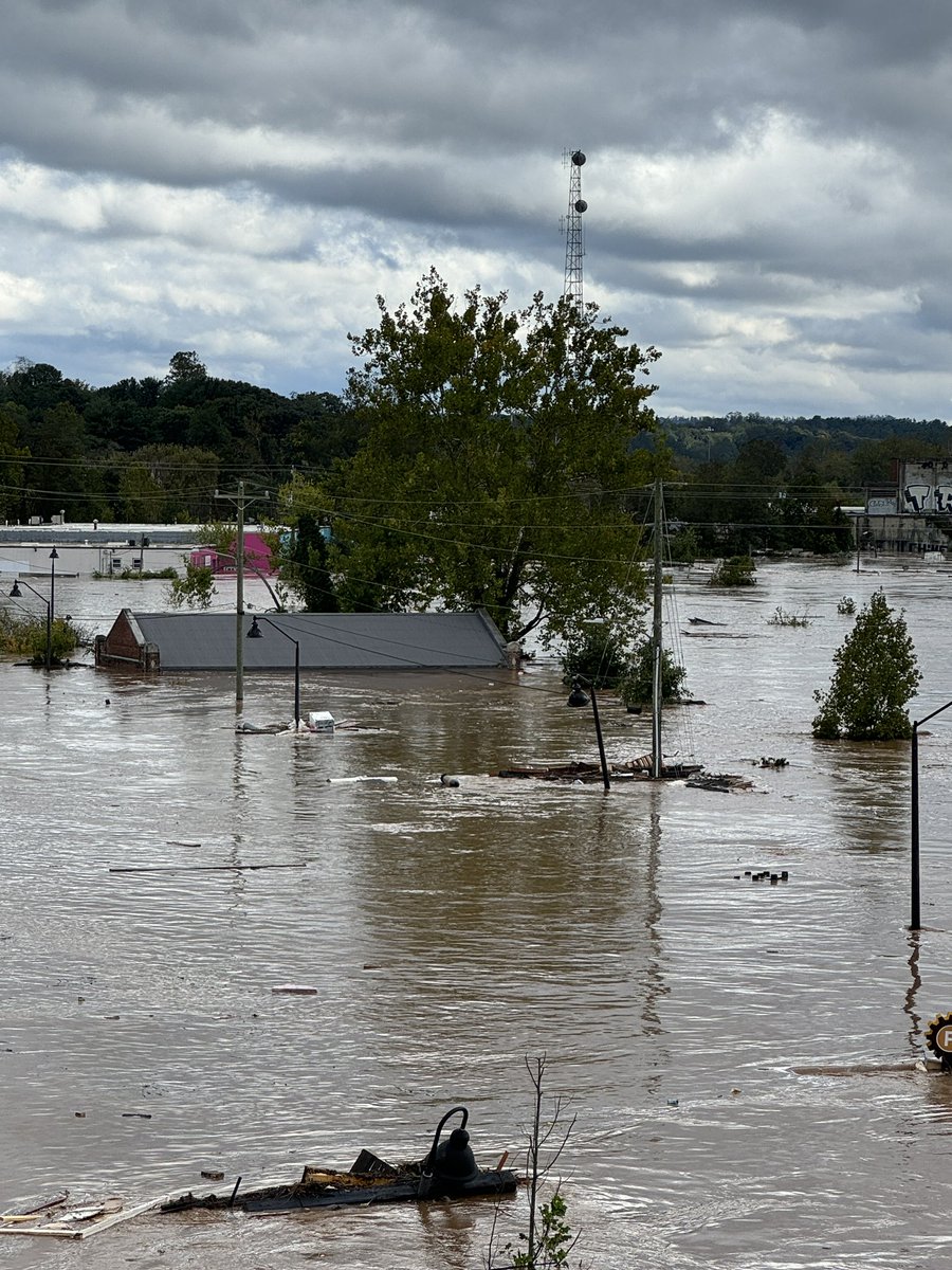 Andrew Price tweet media