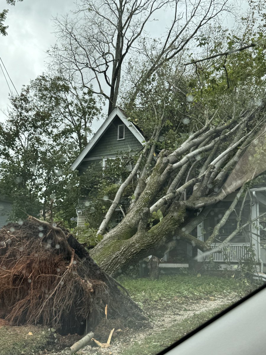 Andrew Price tweet media