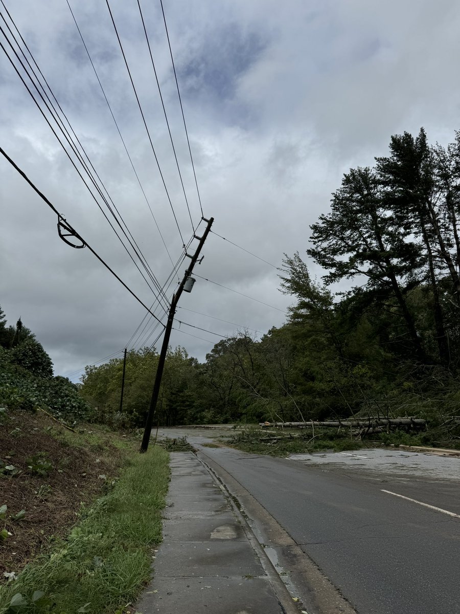 Andrew Price tweet media