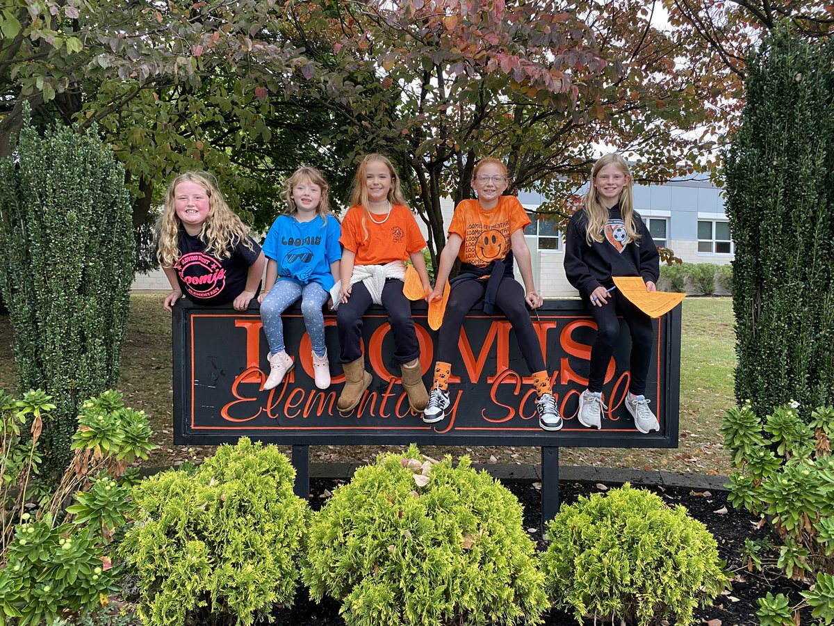 Loomis_mnsd tweet media