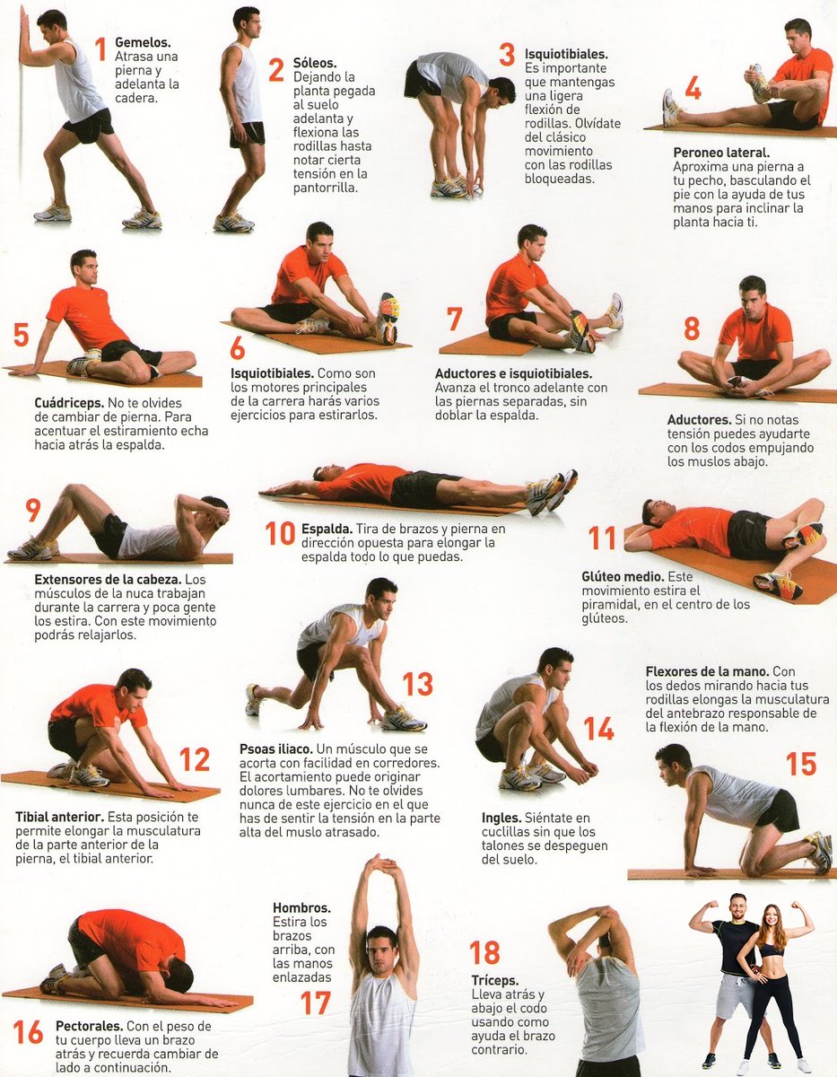 ¿Quieres mantenerte joven? Incorporar ejercicios y estiramientos diarios, incluso varias veces al día, no solo mejora tu movilidad, sino que también alivia los dolores musculares y estimula el crecimiento muscular. A continuación, te compartimos 18 ejercicios de estiramiento.