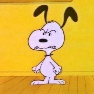 snoopyvinyls's tweet photo. me when i have a headache https://t.co/RlnVeA0HEq