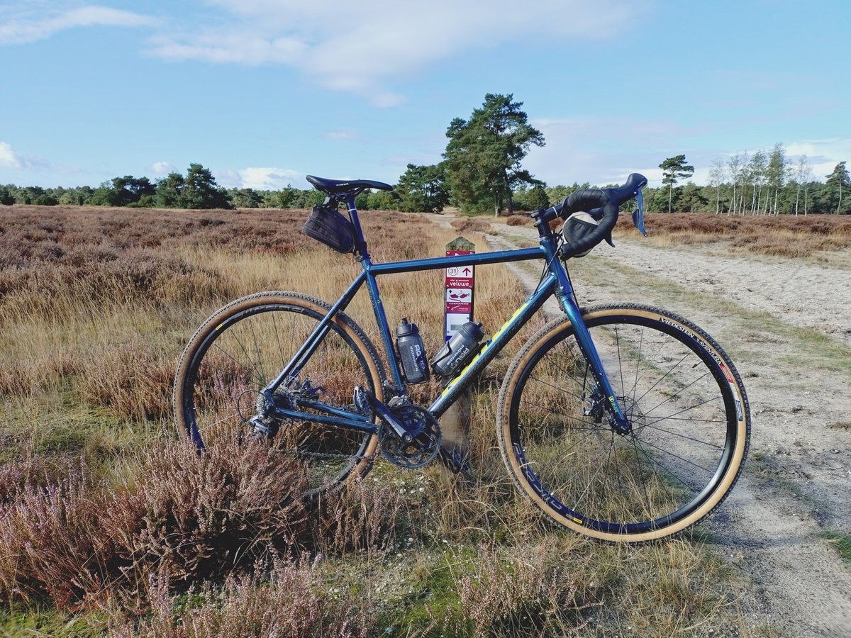 Douwe Bilder tweet media