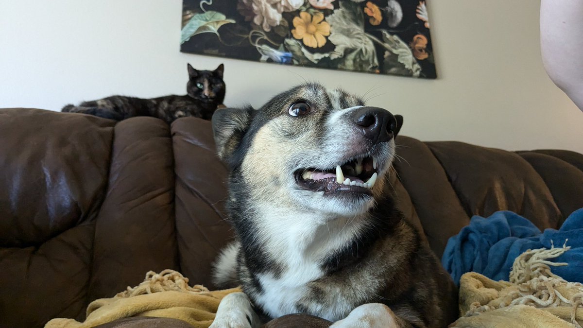 Zach ⌬ ඞ tweet media