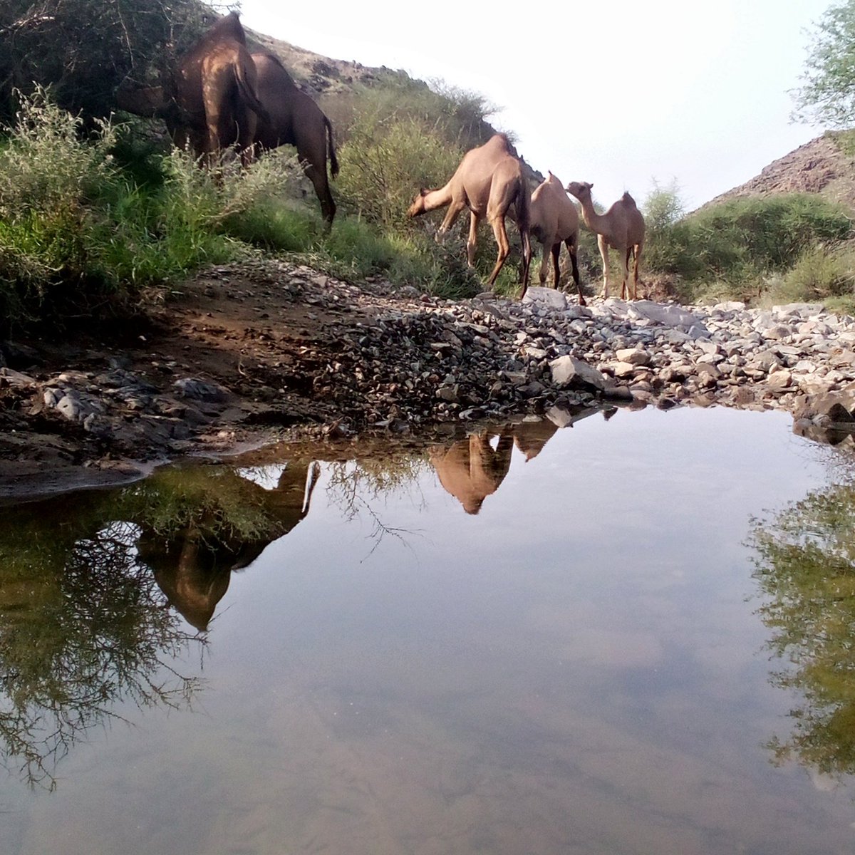 #صورة_ملف_شخصي_جديدة