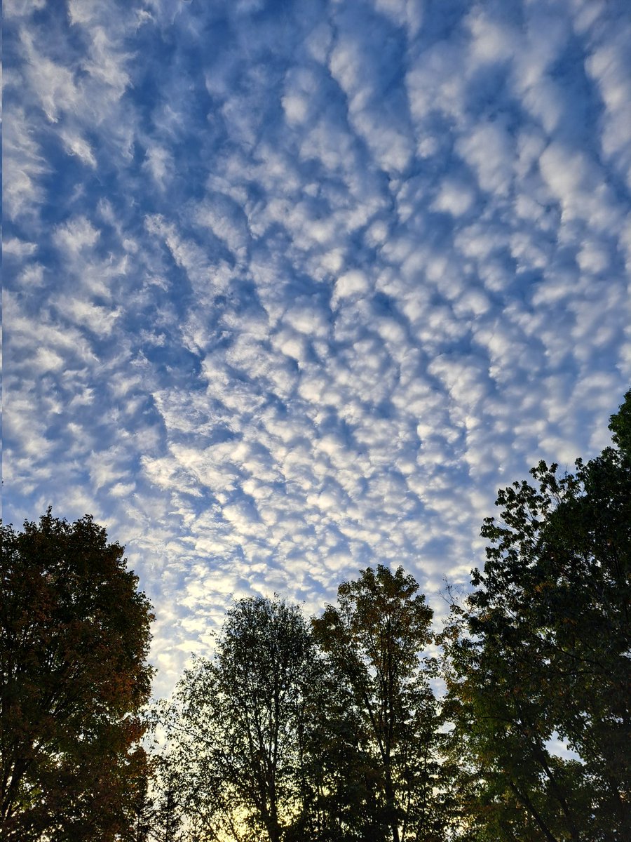 Jan L. Coates tweet media