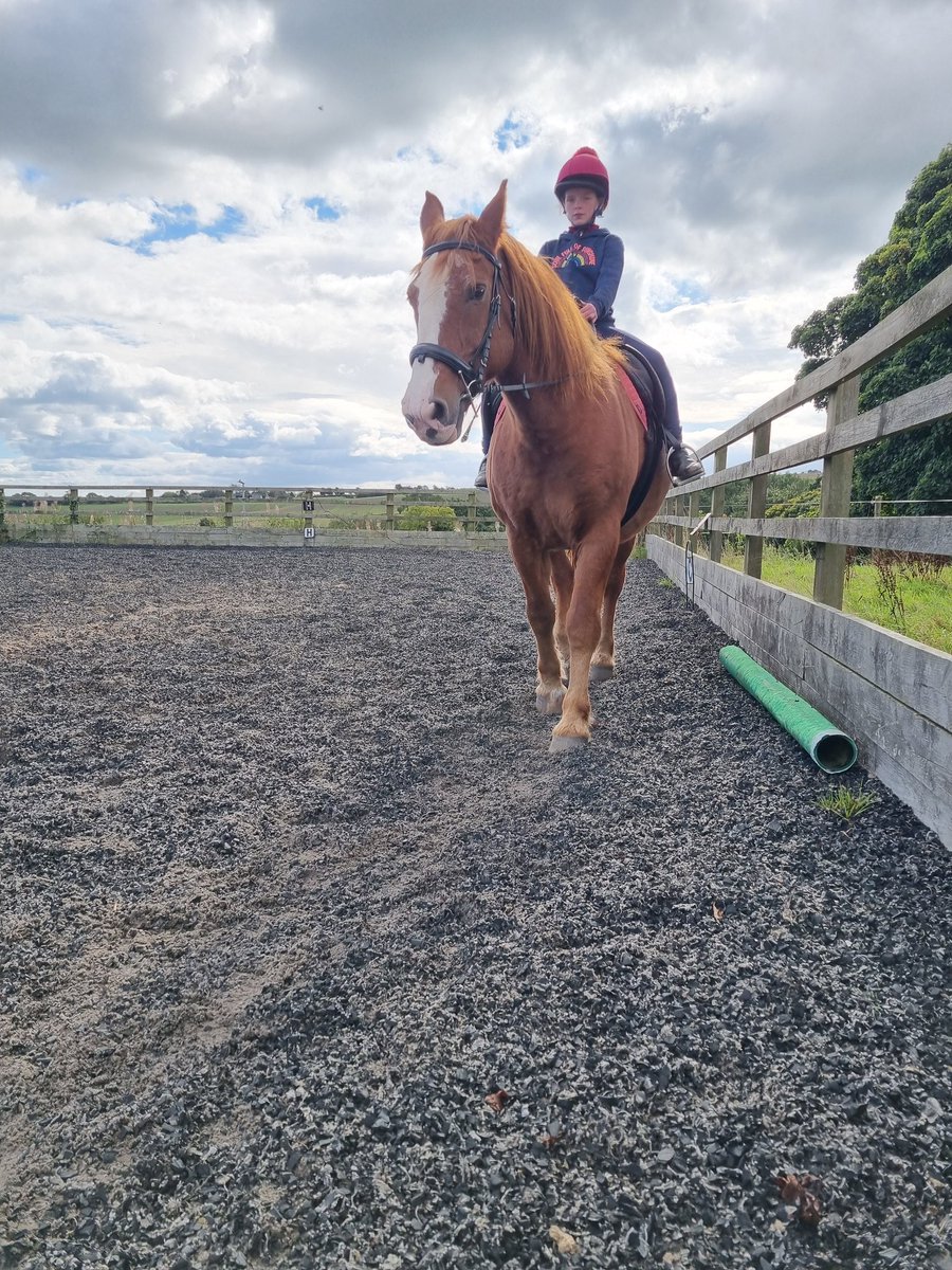 SarahLinley9's tweet photo. Beautiful day to ride our boys 🌞 https://t.co/ZVaxtT71Mc