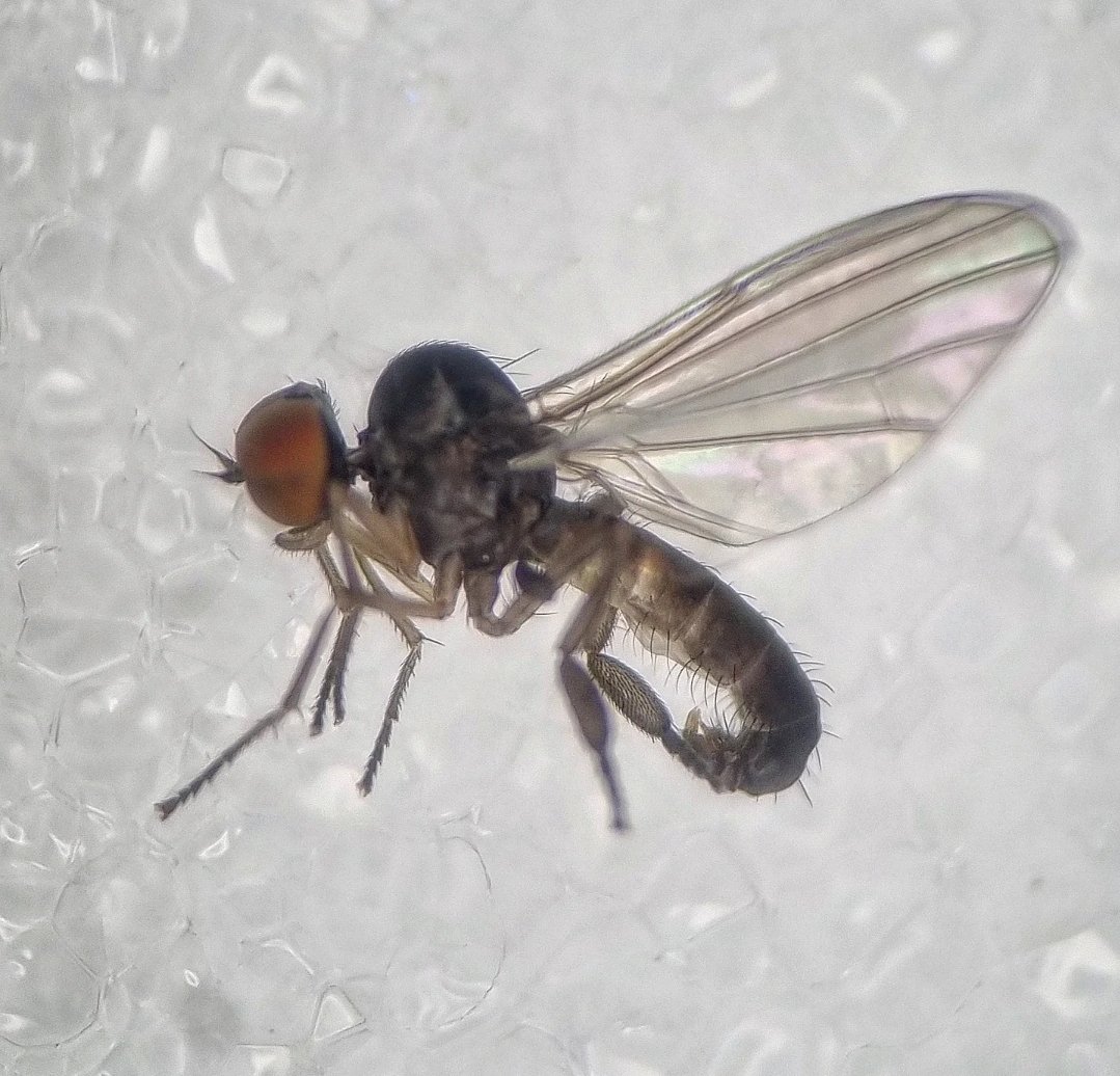 Ryan Mitchell tweet media