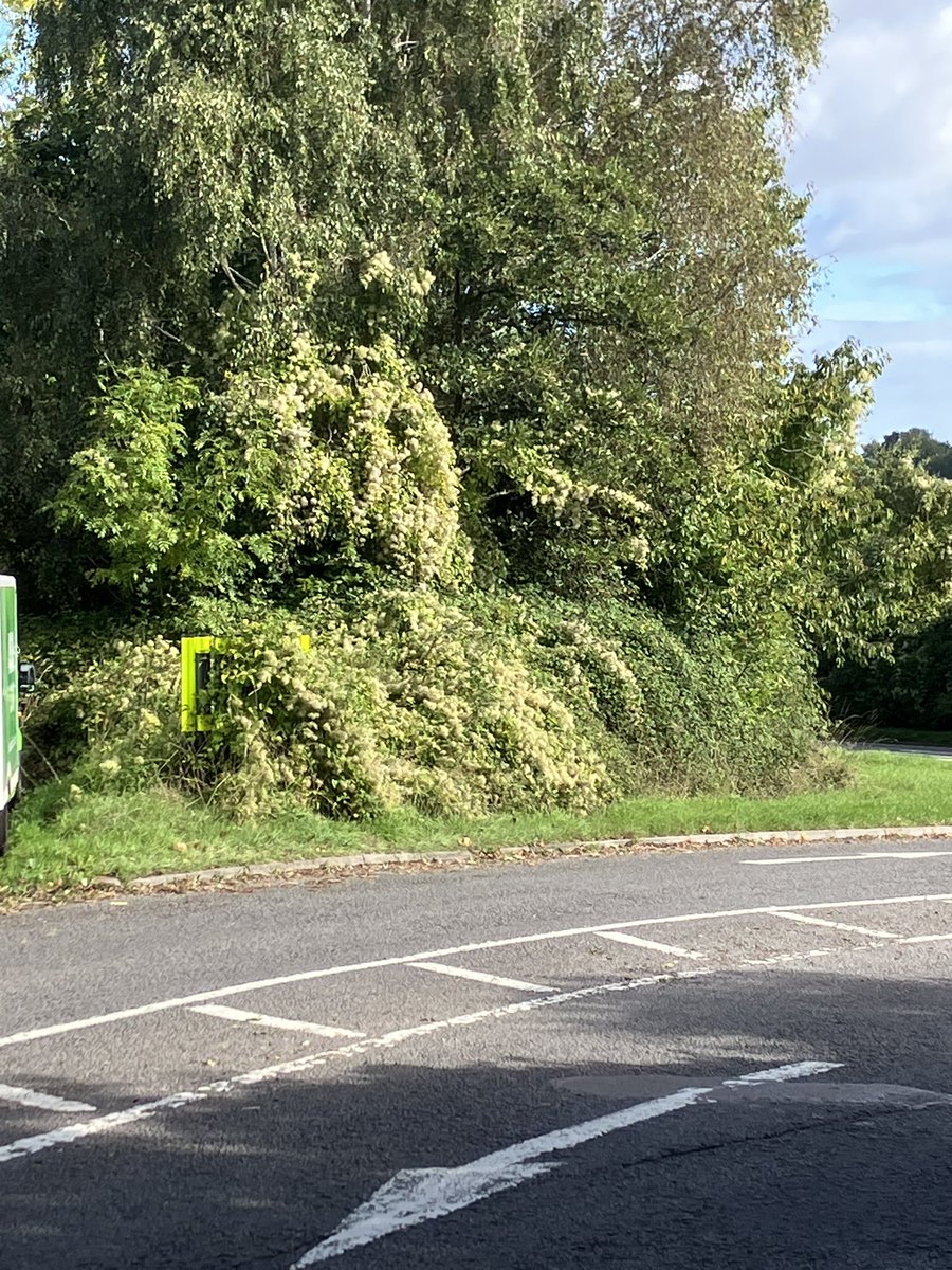 mick_hilliam's tweet photo. @GlosRoads B4228/A48 junction.
Who is responsible for keeping this sign visible? https://t.co/b8F2q97Z7k