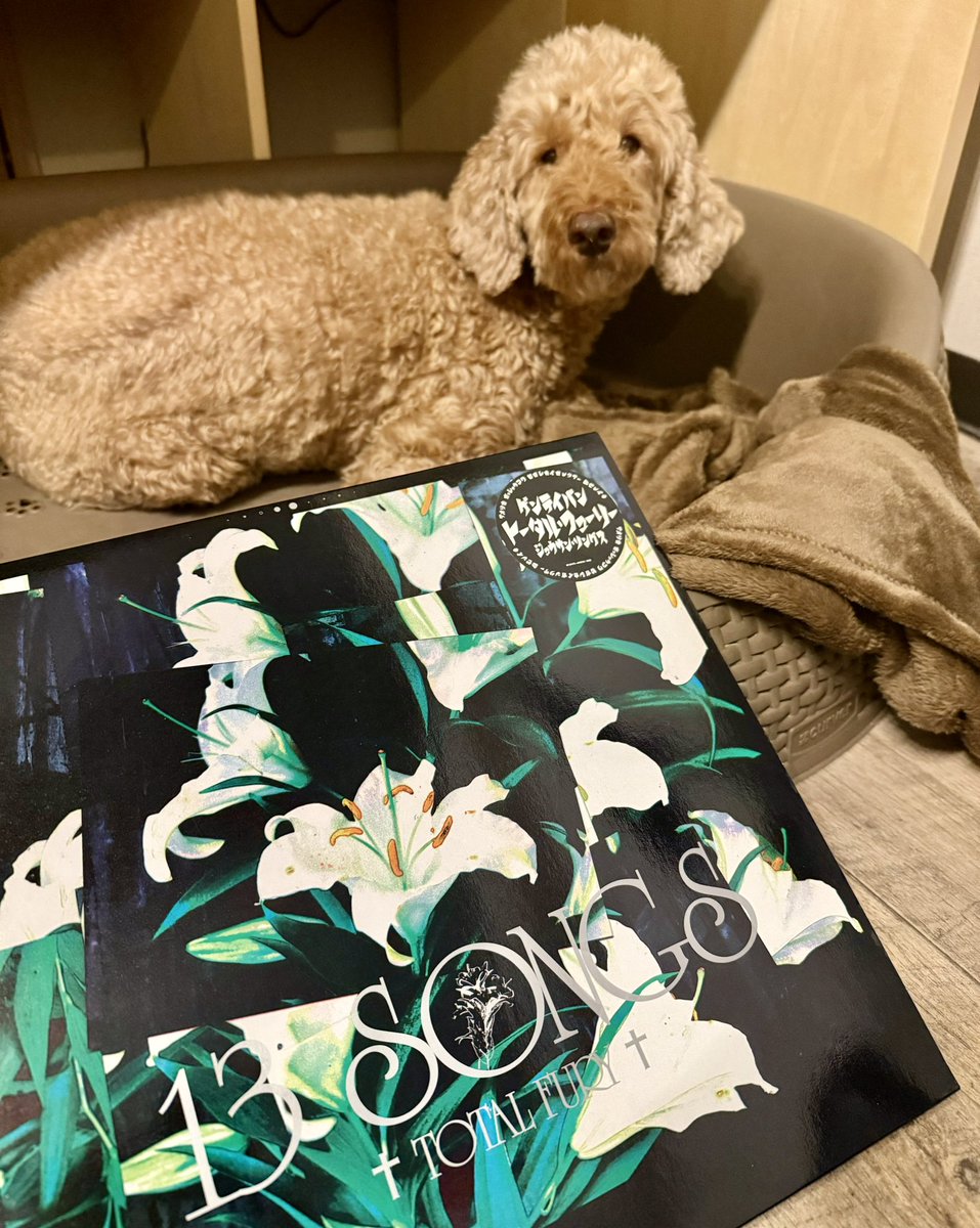 PositiveMaddog's tweet photo. I Win, You Lose定期
サブスクあるんですね
https://t.co/WDLH3Tluho
#仙台シティハードコア #TotalFury https://t.co/4wkf5A3MCP