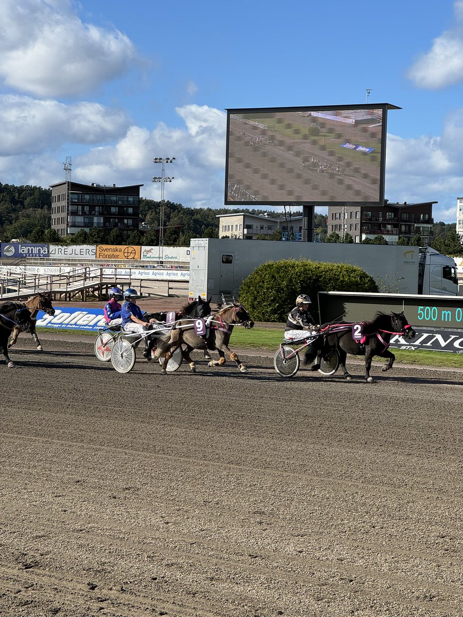 Racing på <a href="/abytravet/">Åbytravet</a>