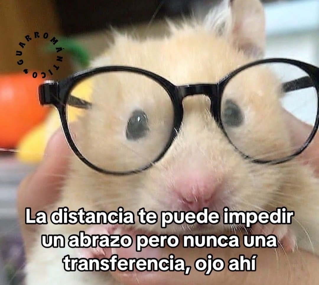 Frases Barbie (@barbie_context) on Twitter photo 