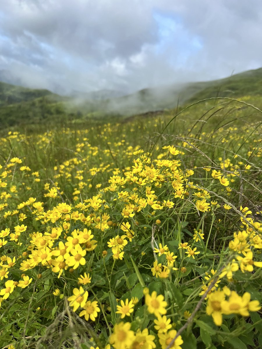 Nagaraj Balasubramanian tweet media