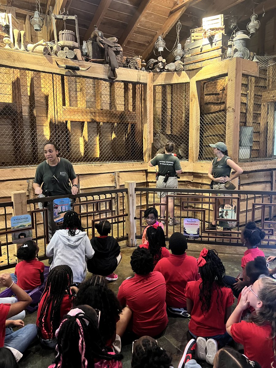 LisaAnnHunt2's tweet photo. Thank you to @PalmBeachZoo for educating our Panthers 
@SeminoleTrails on the Florida Panthers. It was an amazing experience 🖤❤️🐾 https://t.co/mbSKWuWVyY