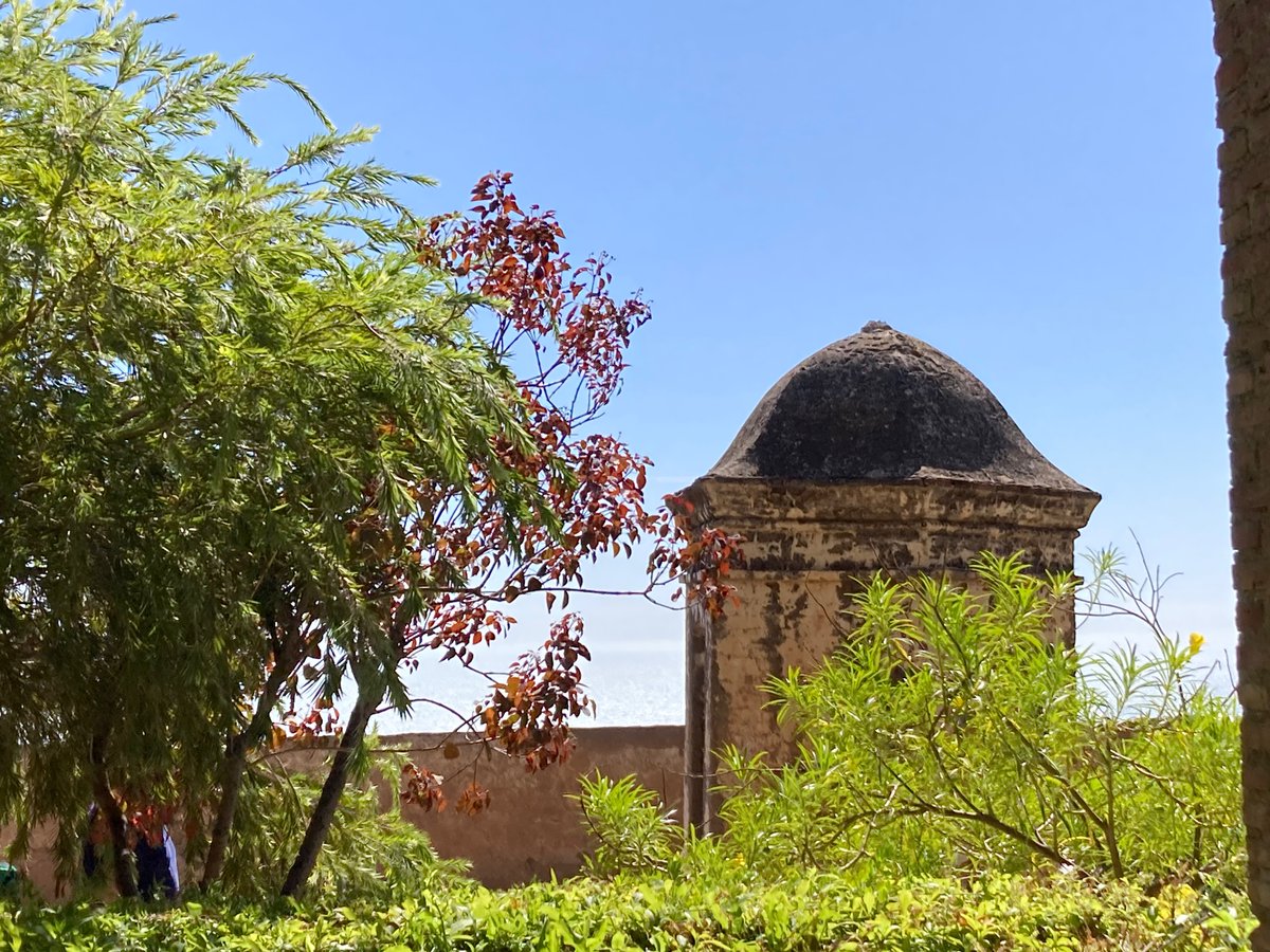 Gill Williams tweet media