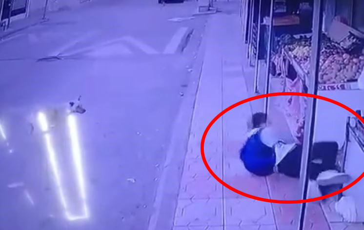 kayserianadolu's tweet image. 📌 BAŞIBOŞ SOKAK KÖPEĞİ DEHŞETİ YAŞATTI!

kayserianadoluhaber.com.tr/basibos-sokak-…

#sokakköpeği #başıboşköpekler