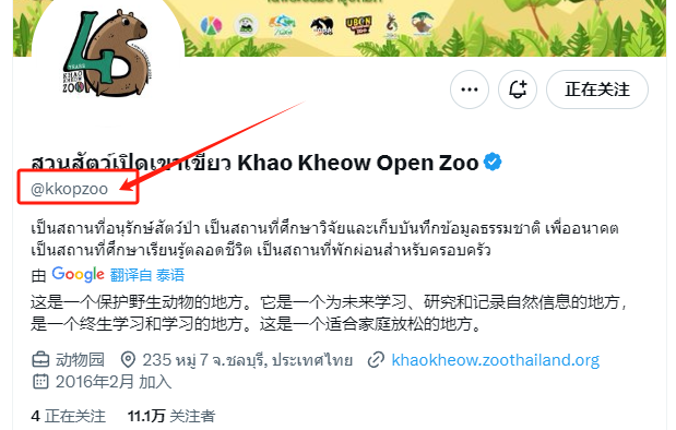 动物园官方X(推特)名kkopzoo 这个没有大小写真假之说 唯一认准kkopzoo <a href="/kkopzoo/">washedtrader1929</a>
让动物园让河马在X(推特)的影响力持续扩散
大家炒币用的最多的社交媒体也是X(推特)
8bSKkxwRFhx7UdUy9kPLKsF4WT9hvCAngDS9yxhEpump
我是20k市值进去的 现在73k
