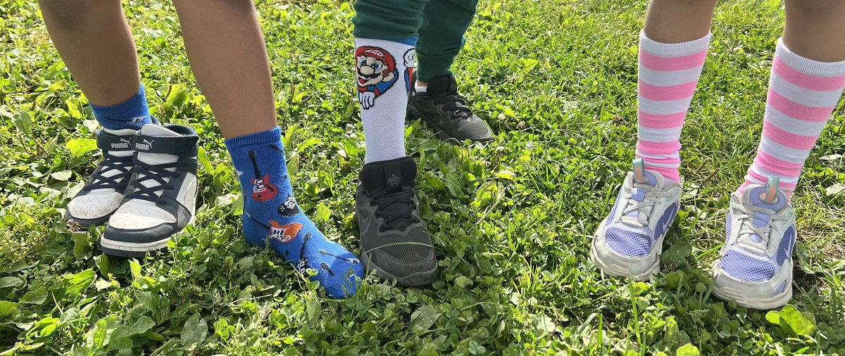 MrsCombden's tweet photo. 🐝 More silly socks! ❤️ @StCeciliaOCSB @StCeciliaSC https://t.co/XdLRXd6Jn1