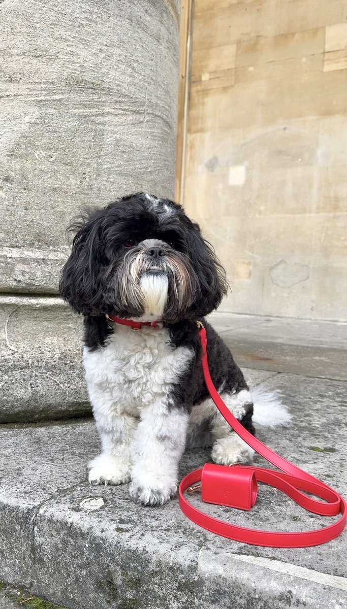 Are you RED-Y for ROUGE ♥️🌹💋
Launching Tuesday 1st October at 7pm, this show-stopping set is sure to turn heads wherever you go.

♥️ Red lovers RU ready to get your paws on this beauty? #dogs #dogsofx #dogsoftwitter #red 
#dogmum <a href="/TheGoodDogGuide/">The Good Dog Guide</a>