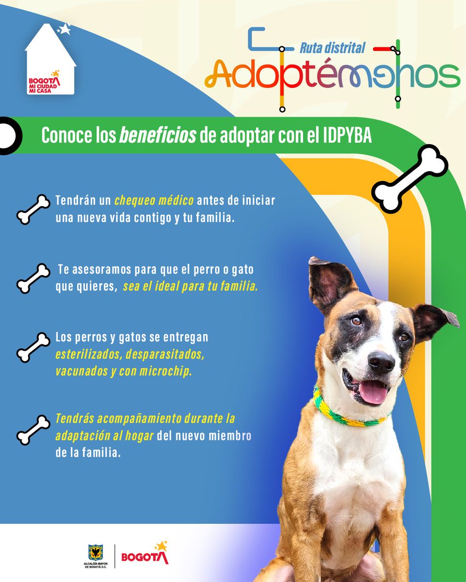 AnimalesBOG's tweet photo. ¡En #BogotáMiCiudadMiCasa hoy y mañana tienes la oportunidad de adoptar un 🐶😻💕 en la Ruta Distrital #Adoptémonos!✨

📍 Parque Bicentenario 
 Calle 26 # 6A-79 Piso 5
🕛 12 m. a 5 p.m.
📅 28 y 29 de septiembre

Ven y conoce a tu mejor compañero de vida. ¡Te esperamos!🥳 https://t.co/xJj6QVvs9V