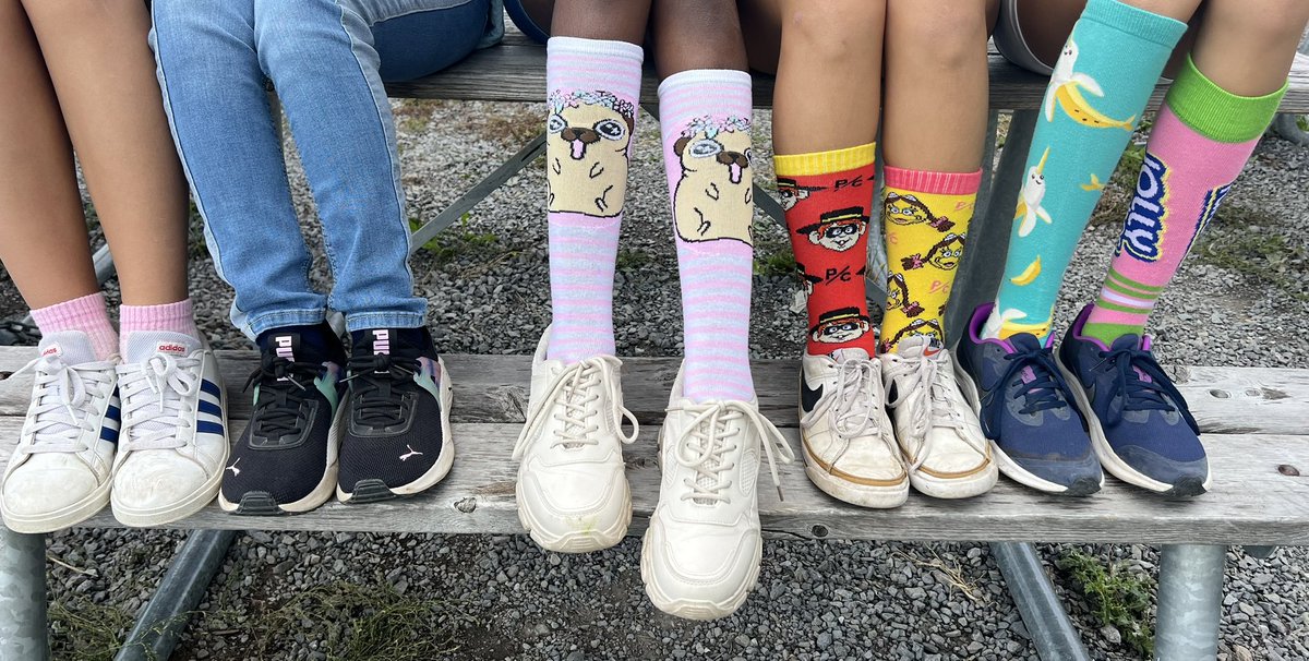 MrsCombden's tweet photo. 🐝 AND MORE silly socks! ❤️ @StCeciliaOCSB @StCeciliaSC https://t.co/W5hWblmx70