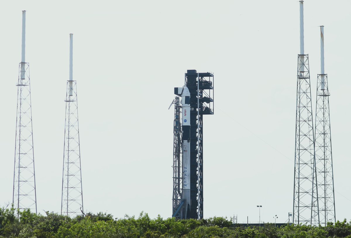 ken_kremer's tweet photo. Photos from NASA SpaceX #Crew9 remote camera setup near pad 40 #CCSFS- taken friday afternoon Sep 27. Liftoff remains targeted Sep 28 at 117 PM to @Space_Station. Wx 55% GO
Credit: Ken Kremer / SpaceUpClose https://t.co/P6PaCP2LAQ