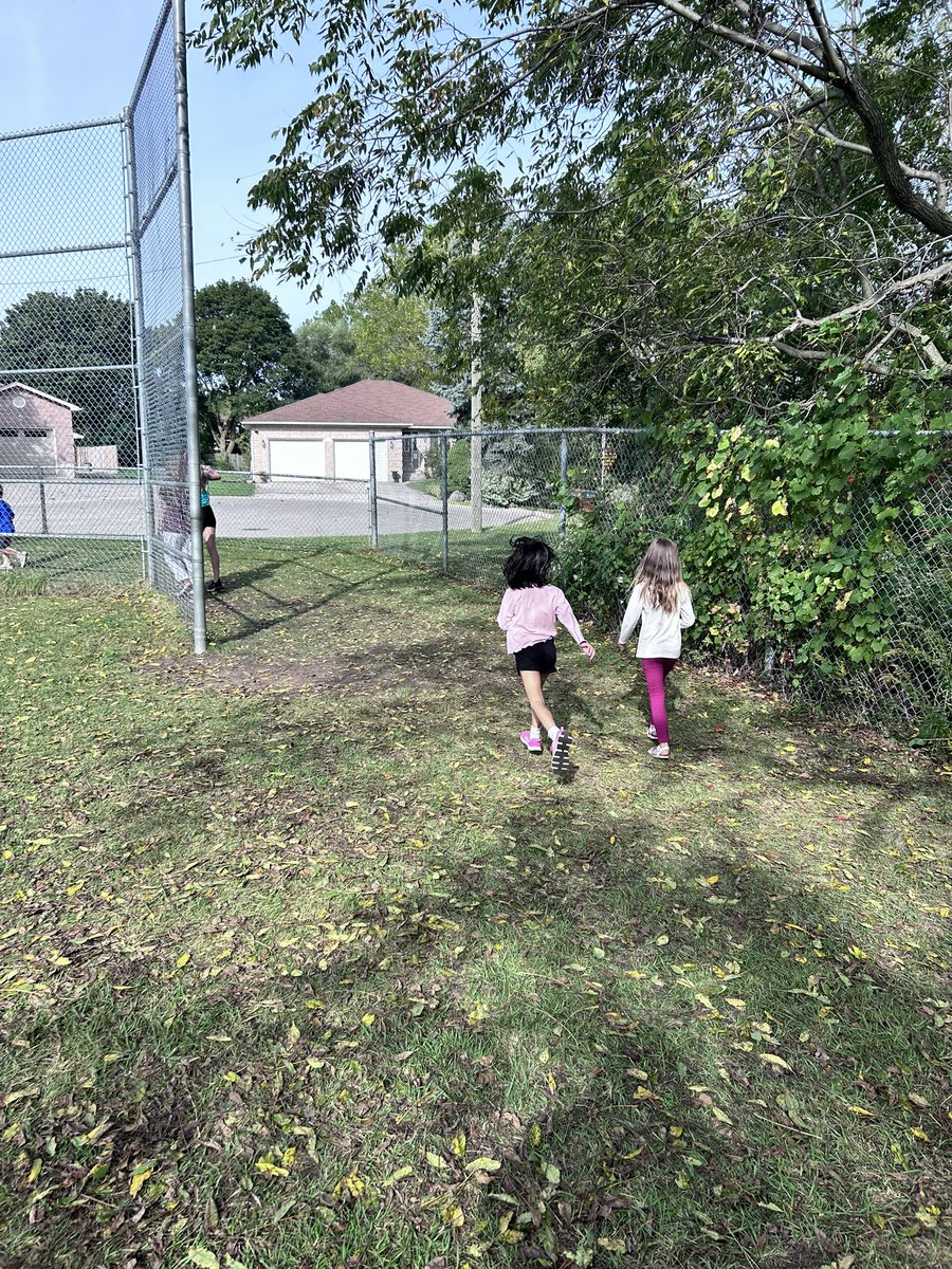 Lindsay Topper tweet media