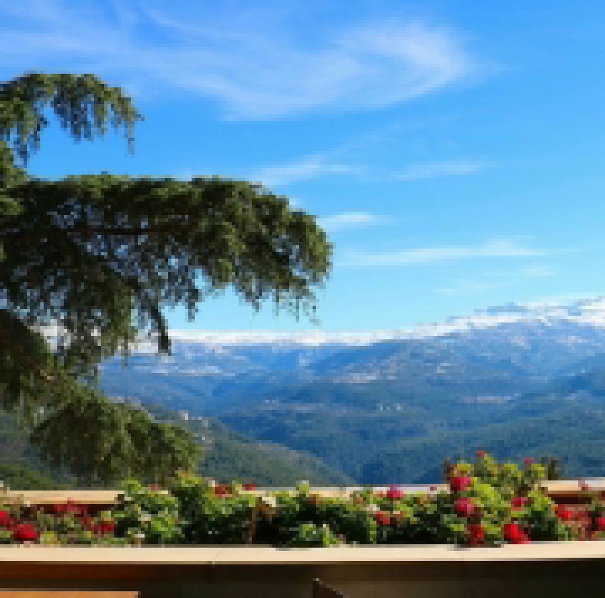 #لبنان 🇱🇧
.
ذلك البلد المطلّ على ضفاف البحر المتوسط، الحاضن لإحدى الحضارات القديمة، أرض الأبجدية الفينيقية ومضياف اليسوع. ما سبب تسميته؟
.
يشير الباحثون إلى أن كلمة "لبنان" تعني "أبيض" في اللغة الفينيقية؛ وذلك لتميّز جبال البلد بكسوتها البيضاء نظراً لتراكم الثلوج على قِمَمِها 🏔