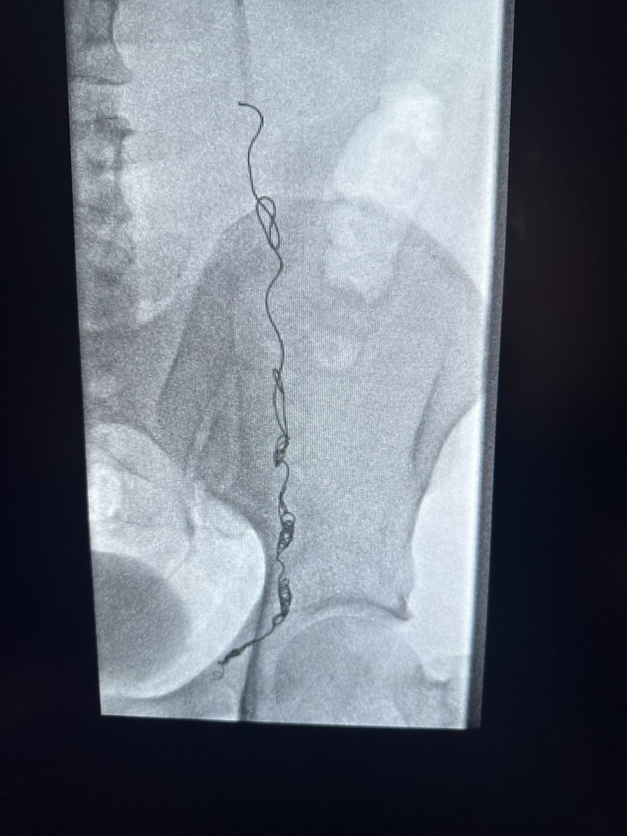 د.سلطان رباح الحربي | Dr. Sultan R.Alharbi tweet media