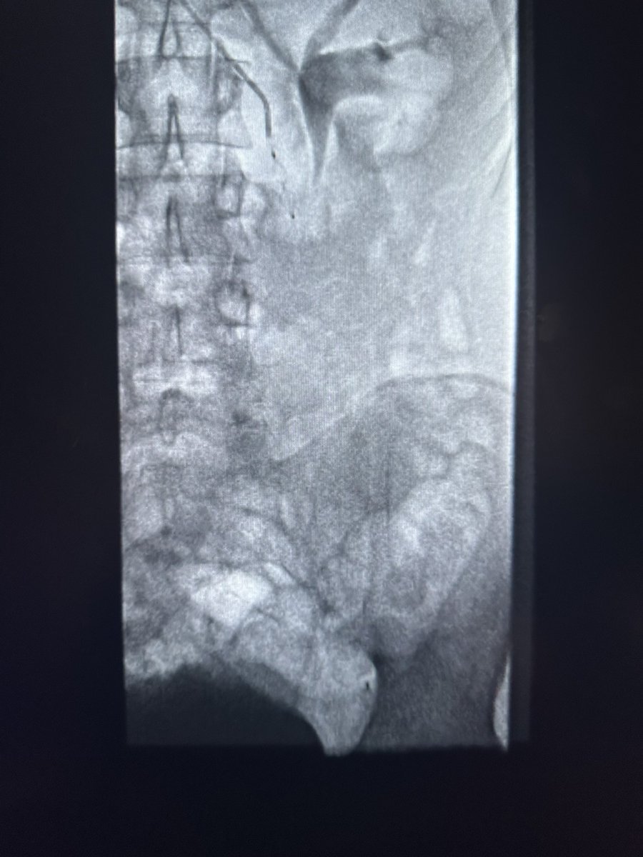 د.سلطان رباح الحربي | Dr. Sultan R.Alharbi tweet media