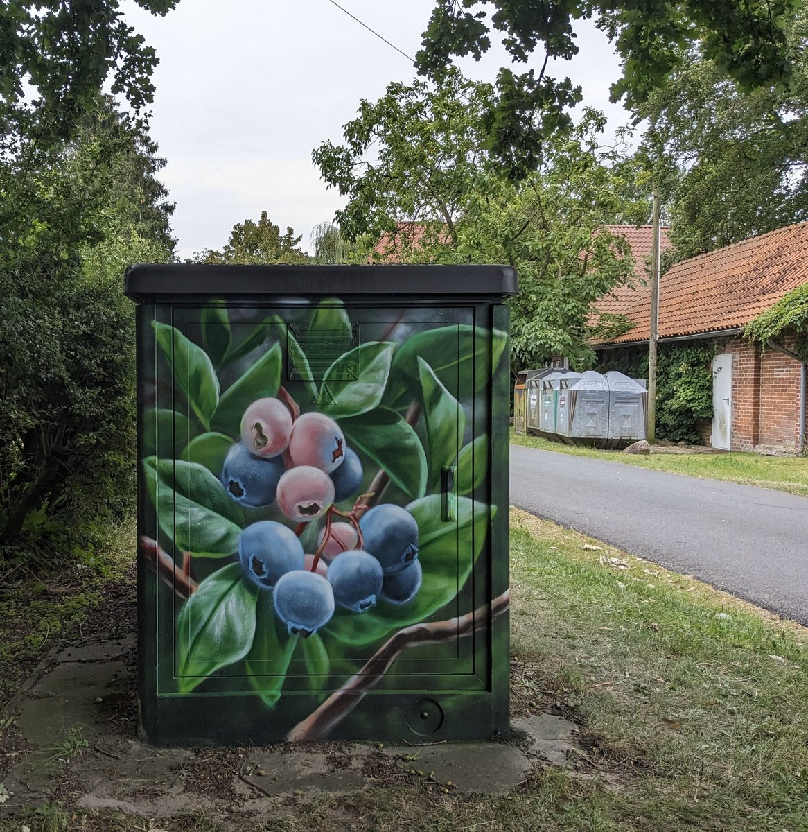 CoraLandshuter's tweet photo. Herzlich willkommen in #Grethem Samtgemeinde #Ahlden mit #Trafokunst #Blaubeeren 🫐 https://t.co/mqT5XvzDEA