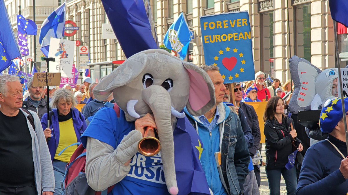 implausibleblog's tweet image. Best way to plug Labour's inherited black hole

Is to address the elephant in the room 

#RejoinEU #MarchForRejoin