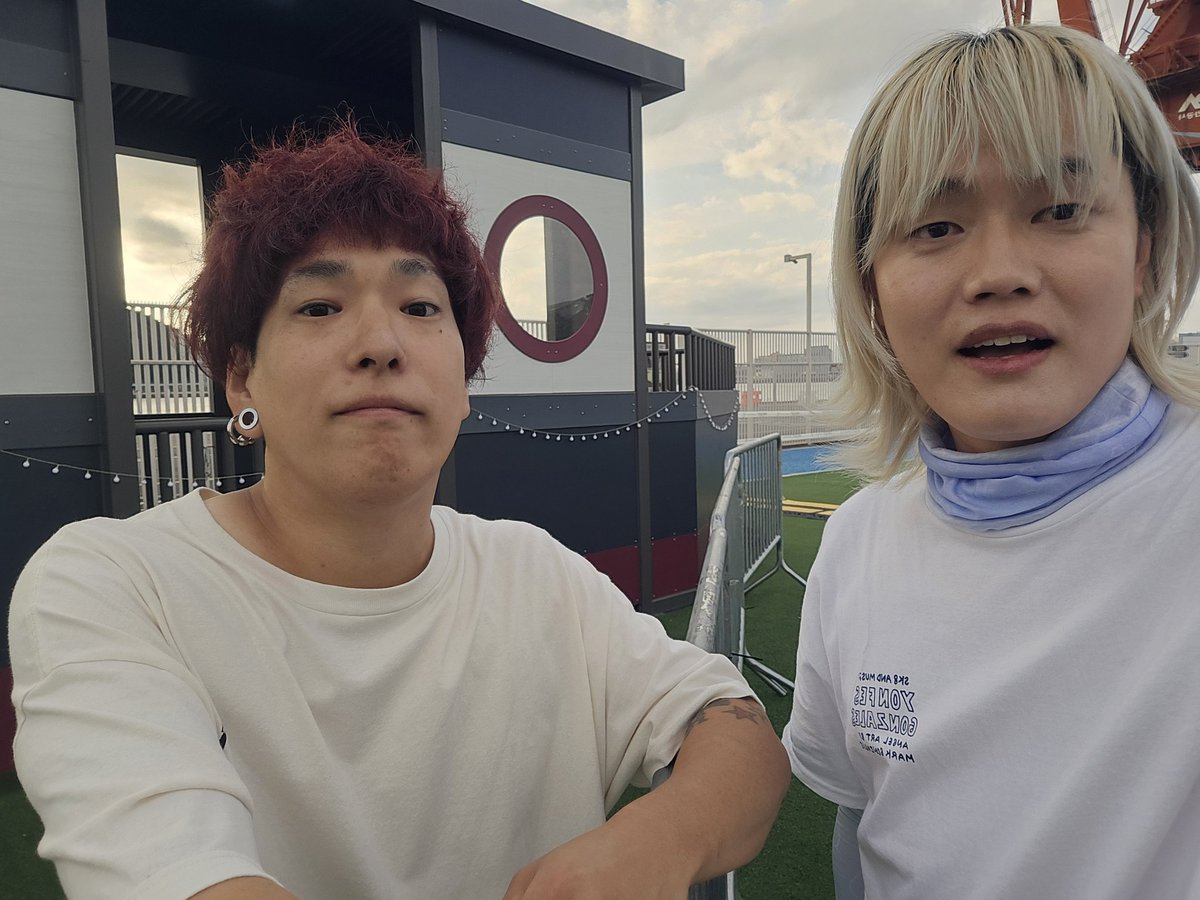 로토(Roto) tweet media