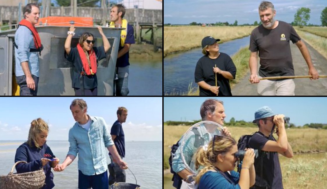 Mediasinfos's tweet image. Le 9 Octobre prochain à 21H05, #France5 diffusera un nouveau numéro inédit de son émission #NosTerresInconnues avec la dernière de @RdeCasabianca qui a emmené #InèsReg naviguer sur les eaux du marais breton vendéen. Notre article est ici: mediasinfosblog.wordpress.com/2024/09/28/le-…