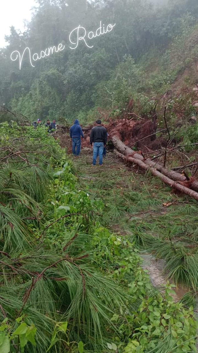 ViadaVicto92967's tweet photo. @lopezobrador_ @GobiernoMX @EvelynSalgadoP toda la montaña alta de Guerrero esta sin comunicación sin comida casas destruidas sabemos que no problemas del gobierno per responsabilidad es mantener a salvo a las personas porfavor no nos dejen en abandono hay muchas pérdidas https://t.co/6ZiUHxF7mM