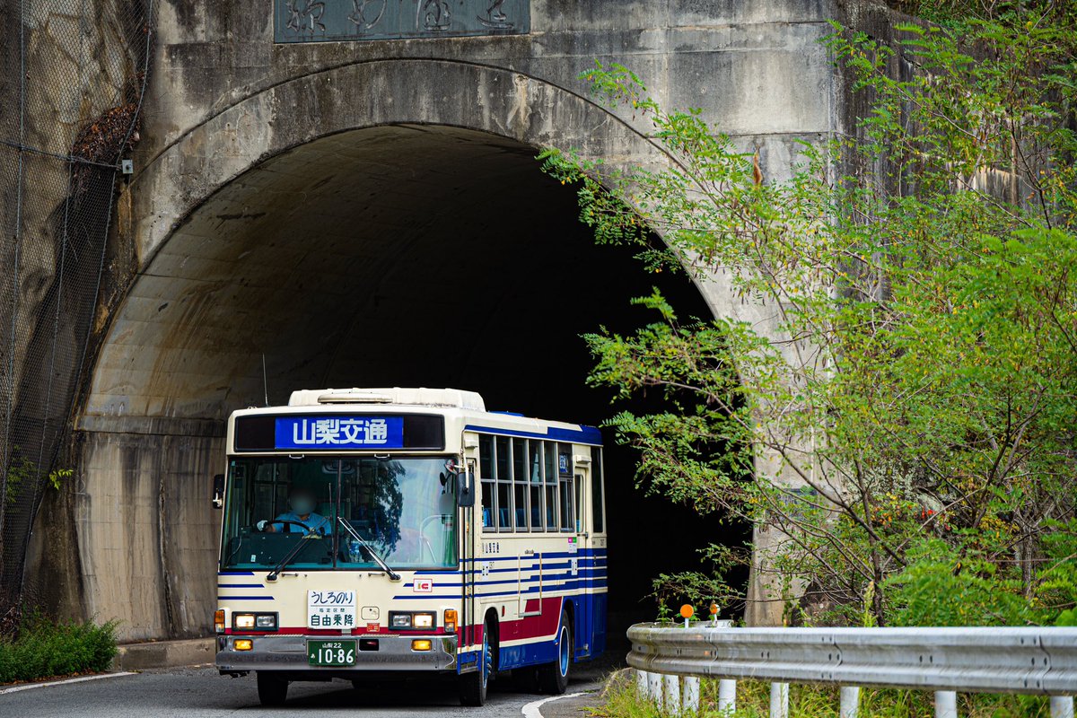 かしわぎ (@kashiwagi_208) / Posts / X