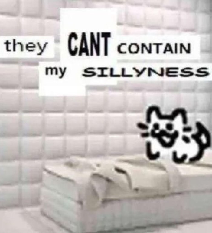 Catsillyness's tweet photo. Sillyness https://t.co/iETgpOFoOC