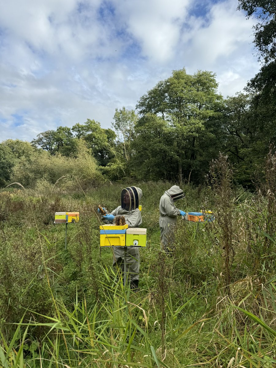 Border Honey tweet media