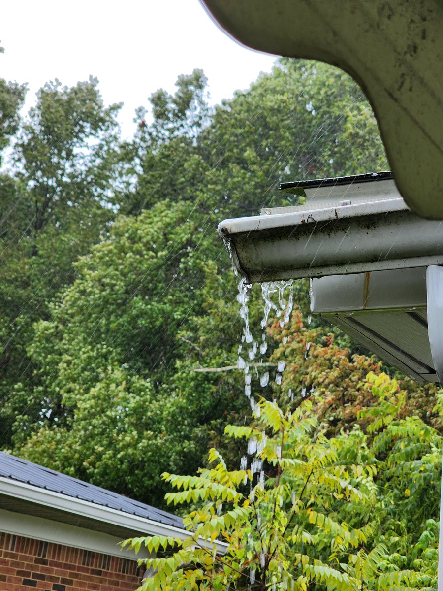 Serenity Johnson tweet media