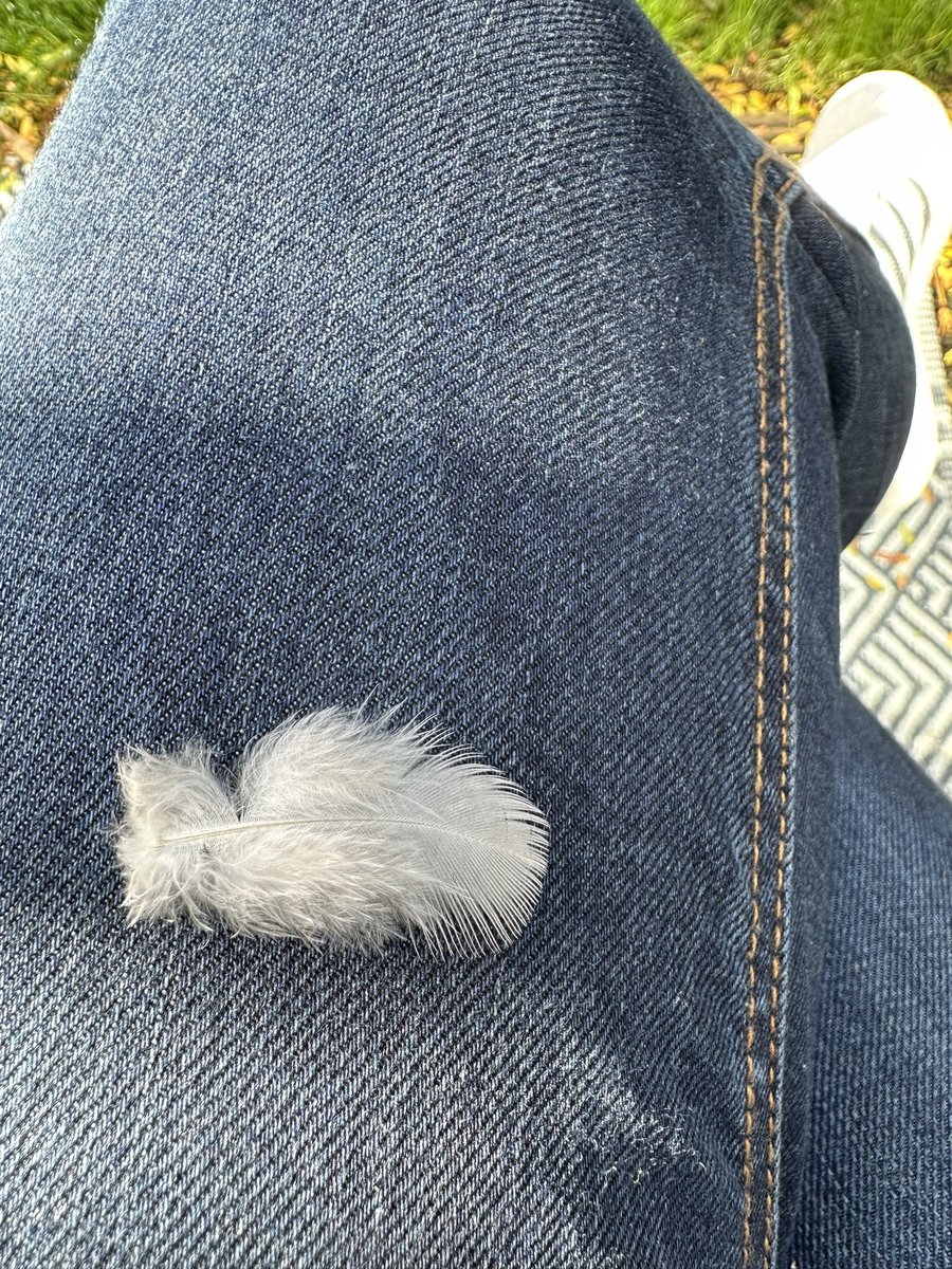 alchemy4thesoul's tweet photo. Look what dropped in my lap as I got goosebumps 😇 #angelsign https://t.co/gpgtSDF4es