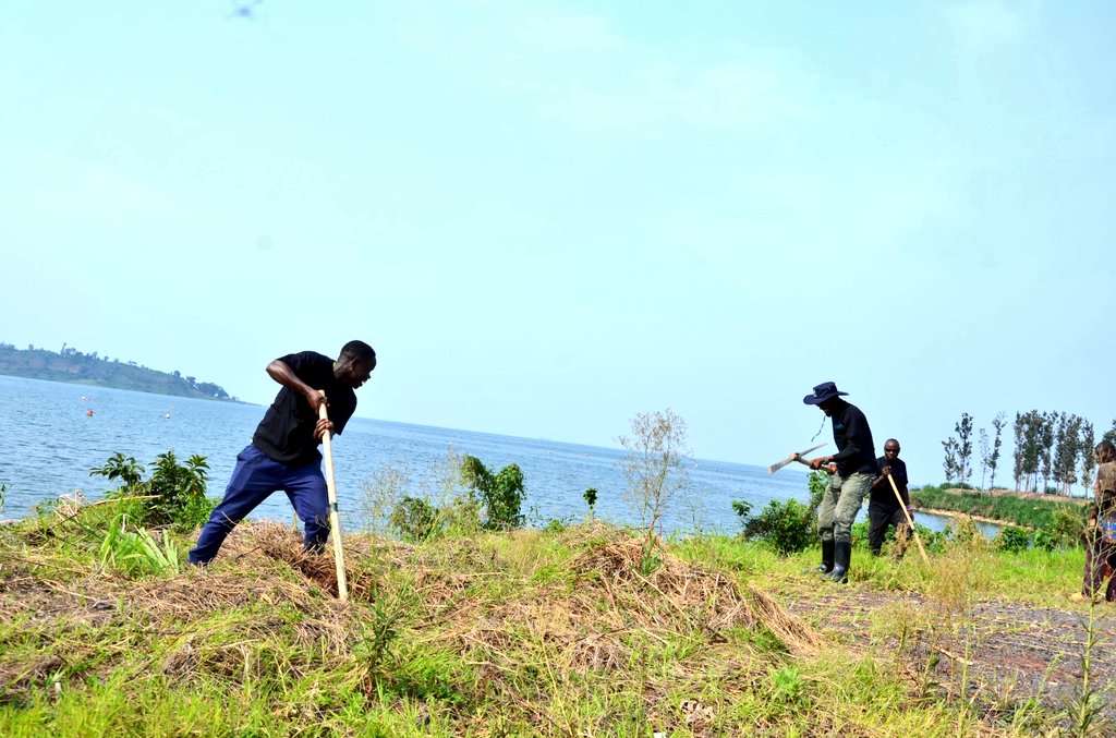 <a href="/NyamyumbaSector/">UMURENGE WA NYAMYUMBA</a> <a href="/promulindwa/">MULINDWA Prosper</a> <a href="/EnvironmentRw/">Ministry of Environment - Rwanda</a> <a href="/REMA_Rwanda/">Rwanda Environment Management Authority</a> <a href="/RBCRwanda/">Rwanda Biomedical Centre</a> Ibiti byatewe byose hamwe ni 4000, birimo ibiti y'avoka 2400, Gereveriya 1200 n'imigano 400. Ibi biti byose byatewe ku bufatanye n'uruganda rwa Shema Power Kivu Lake rukorera muri uyu murenge.