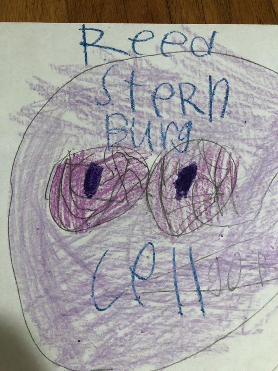 Brian McMillen MD tweet media